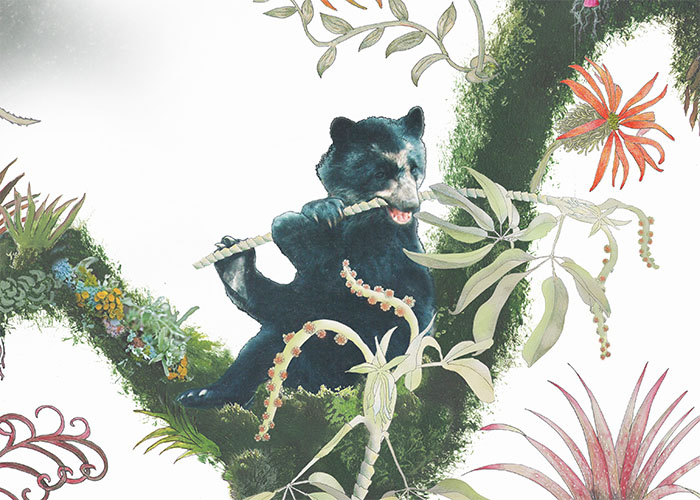 bear
