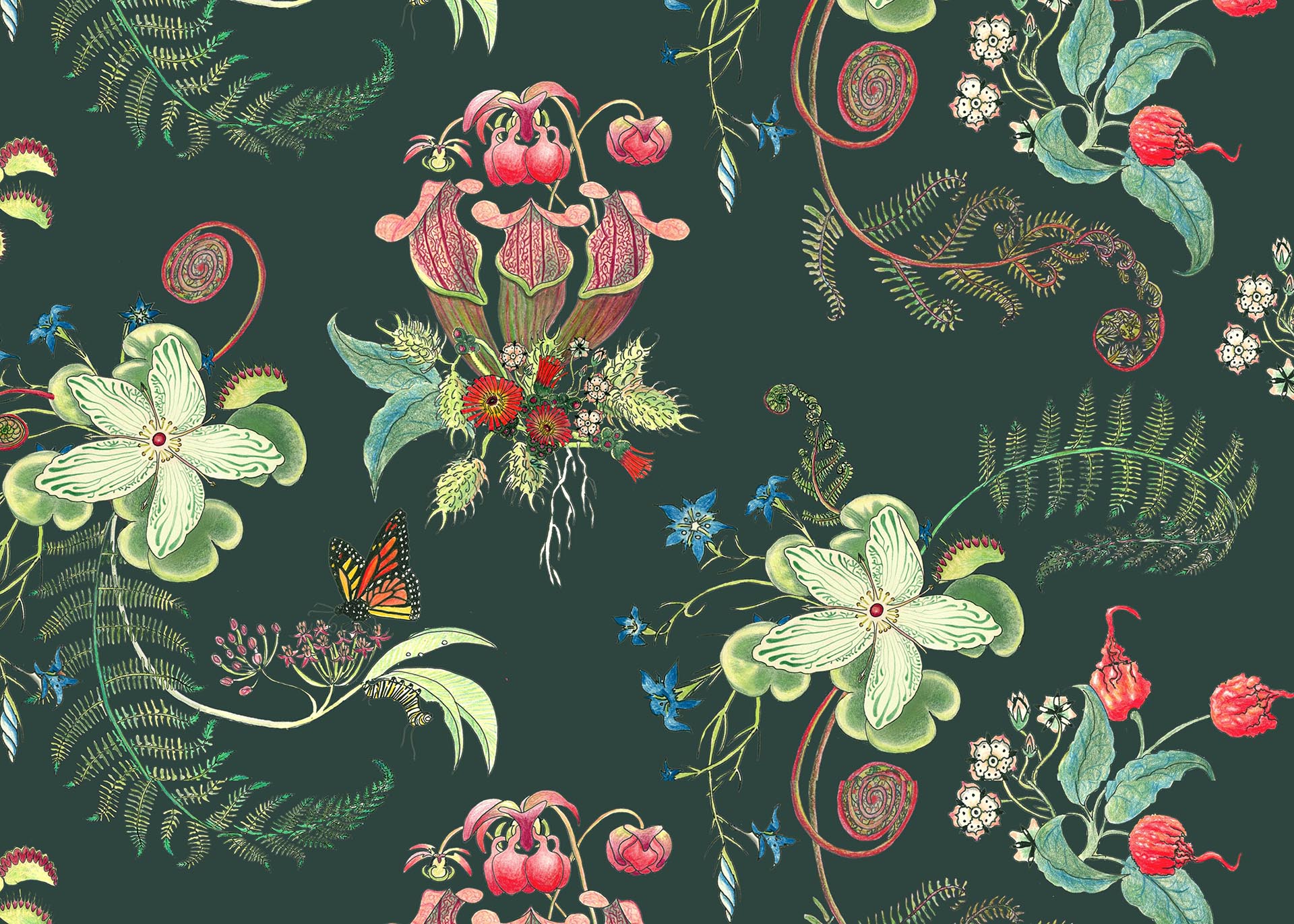 Forest Posies, in the Carolina Tree of Life Collection by Newton Paisley.