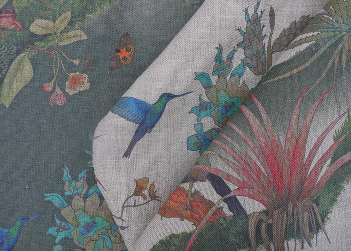 hummingbirdlightdark