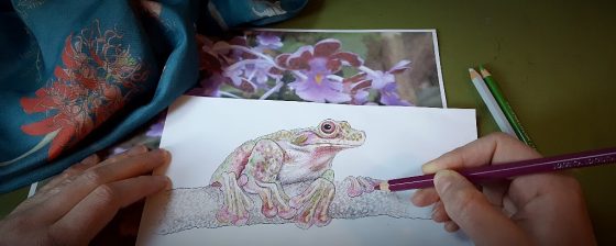 Remembrance Day for Lost Species