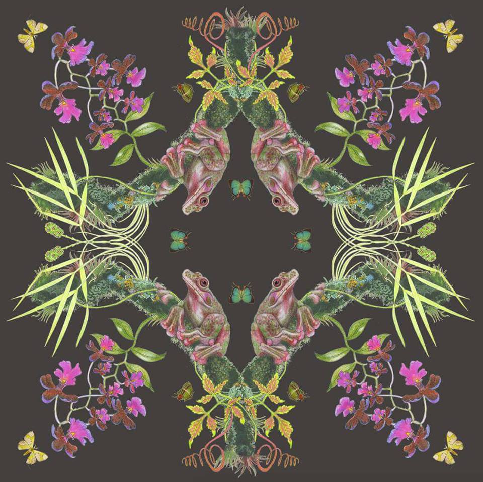 Slate grey Rabb’s tree frog scarf