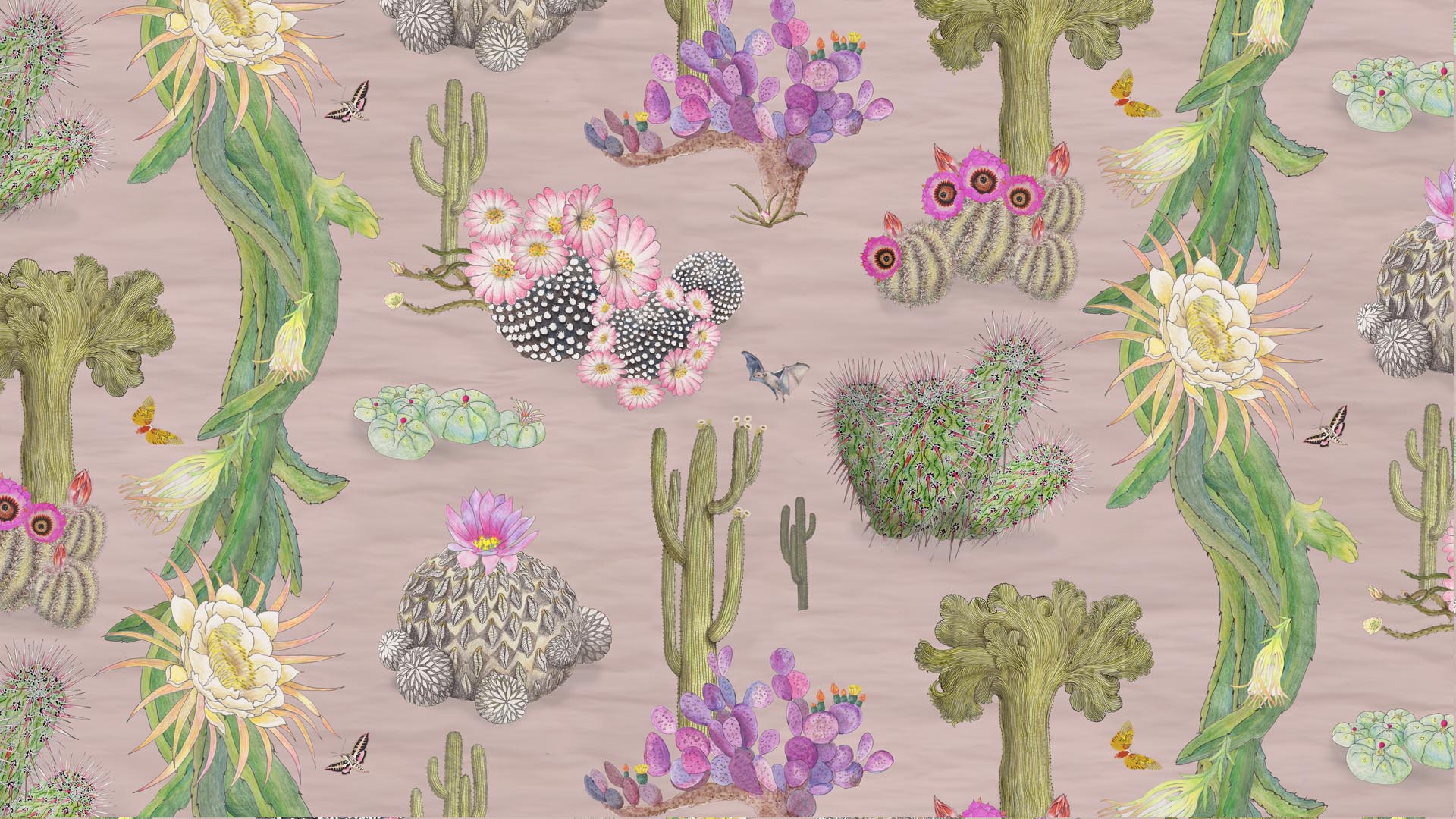 blushpinkcactus