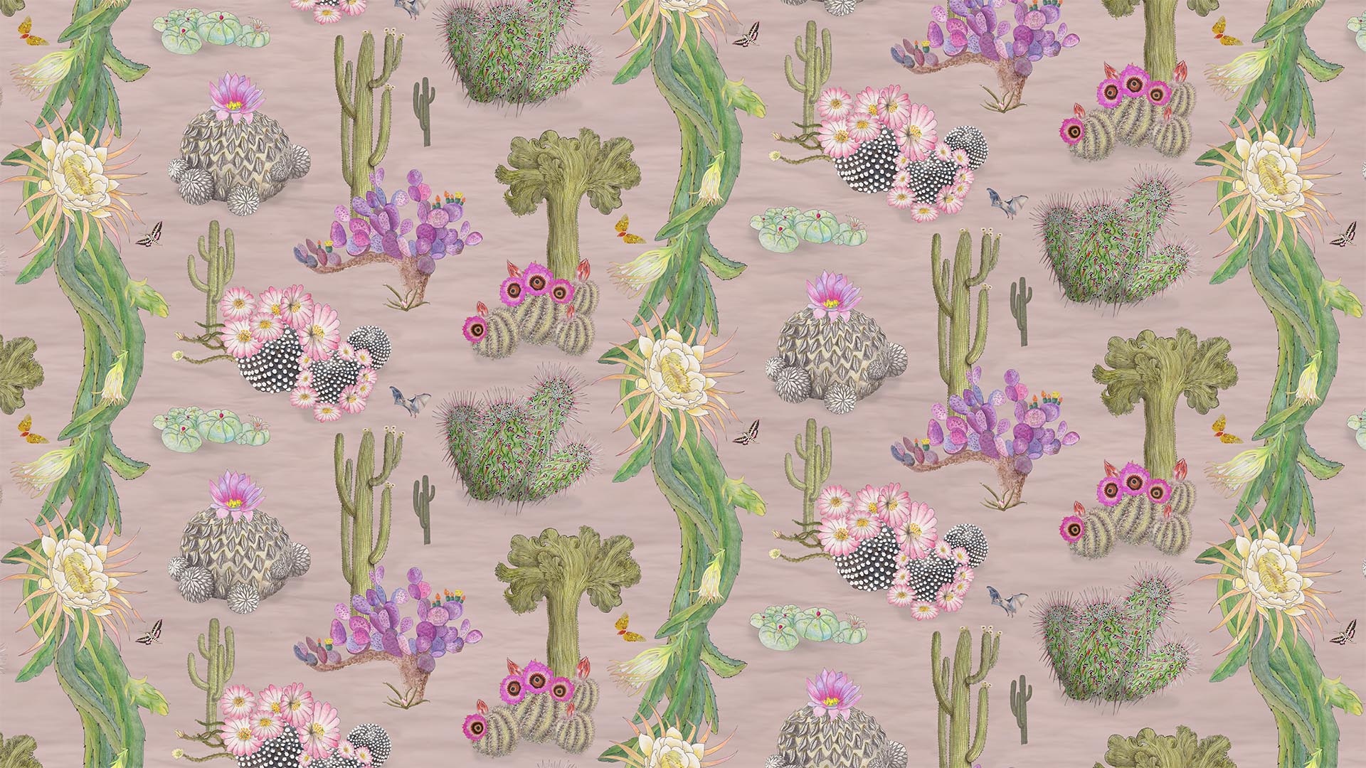 pinkcactusbanner
