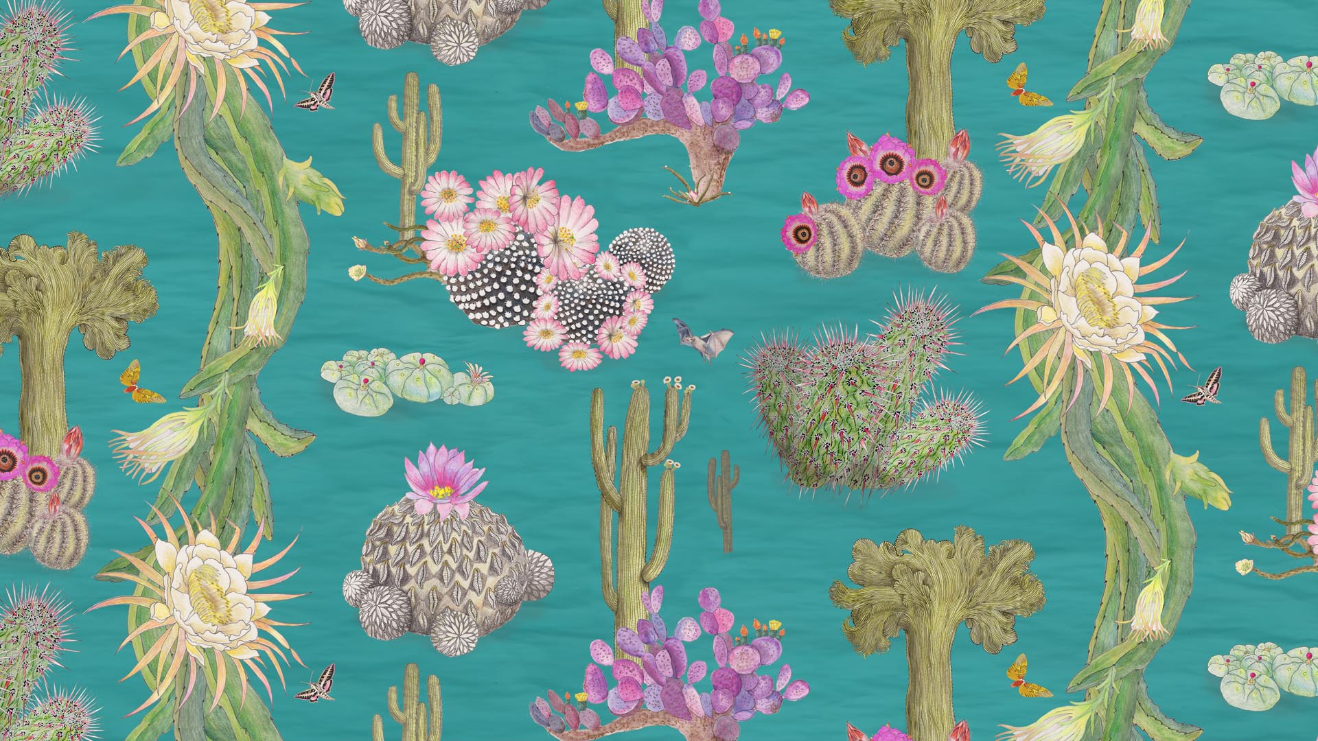 turquoisecactus