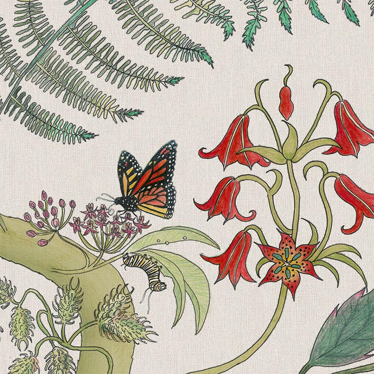CToL gray lily monarch Newton Paisley