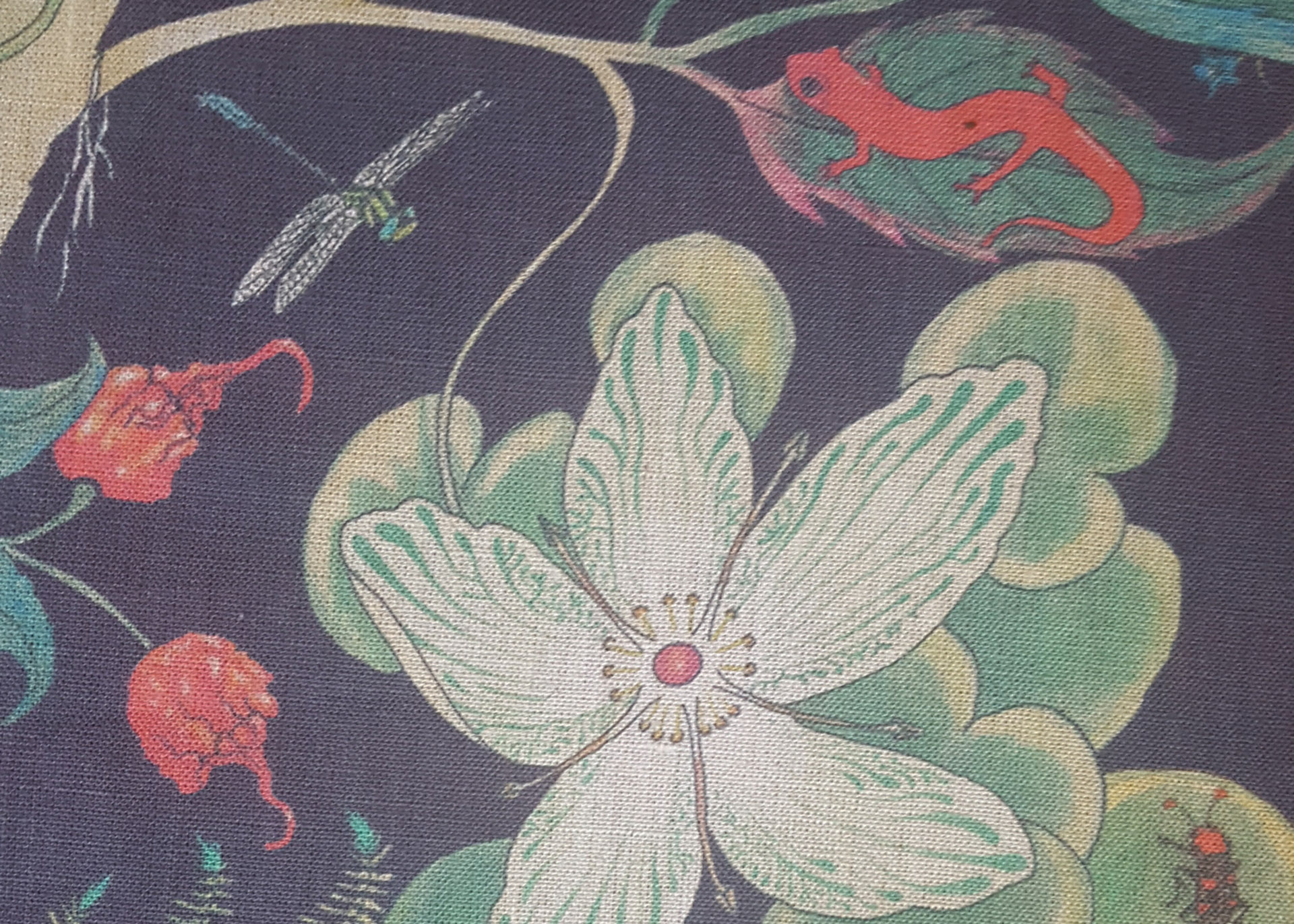 CToLprunedetail1