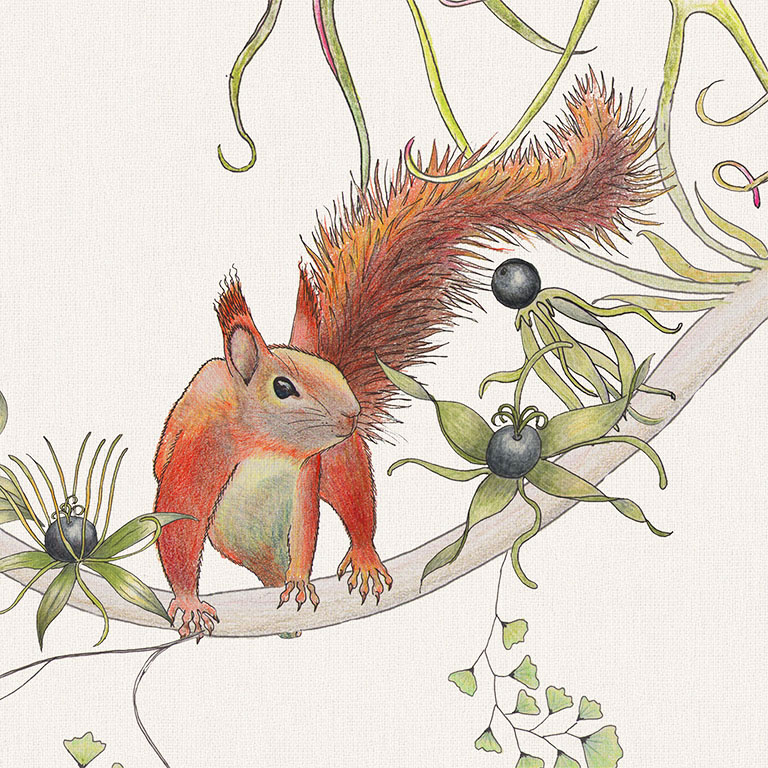 MerciaVinesNaturalRedSquirrel