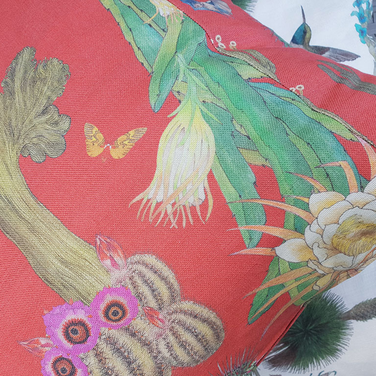 CactusDetail