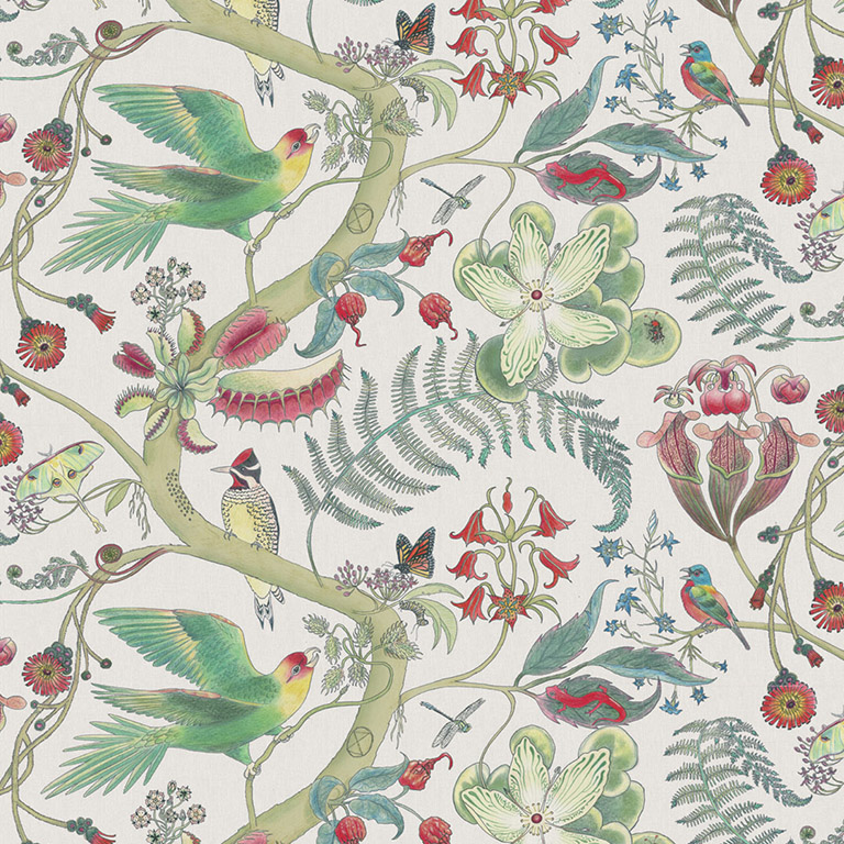 Linen CarolinaParakeet25ACream