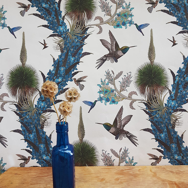 Madidi Hummingbirds Cream