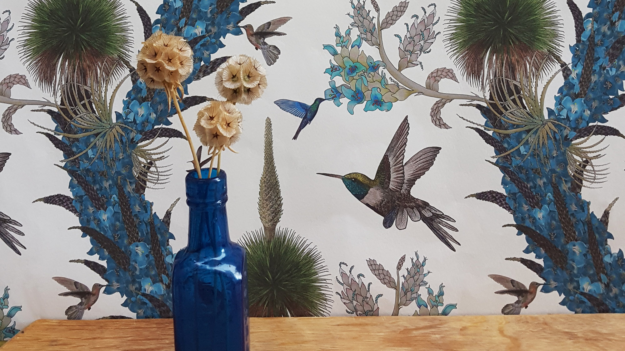 hummingbirdsbanner1stdibs