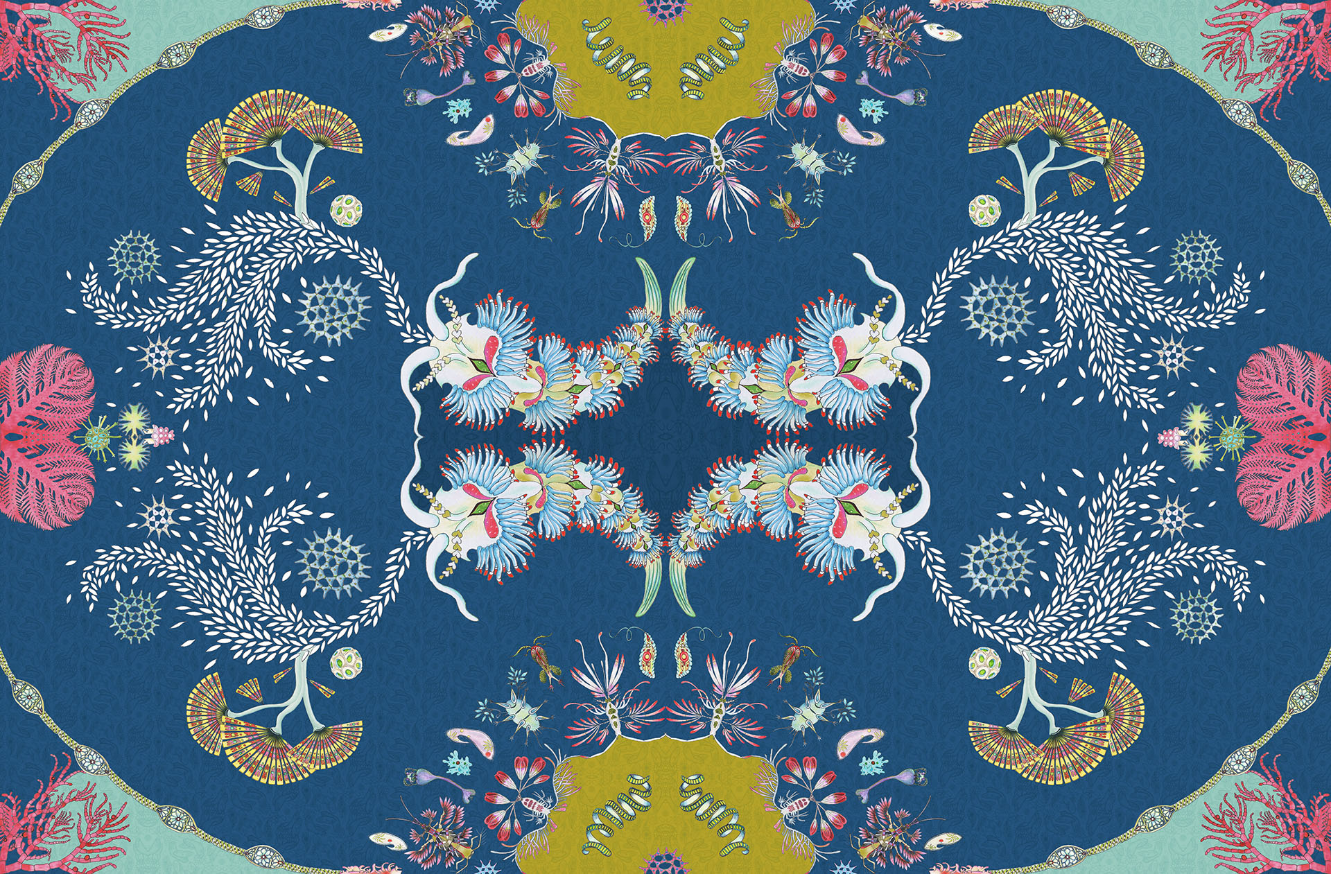 Paisley Paramecium JM 37D