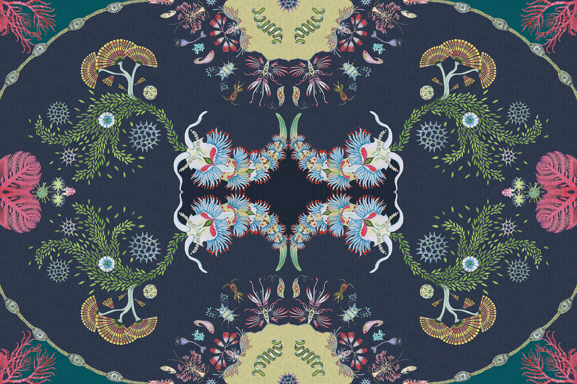 Paisley Paramecium JM 37E