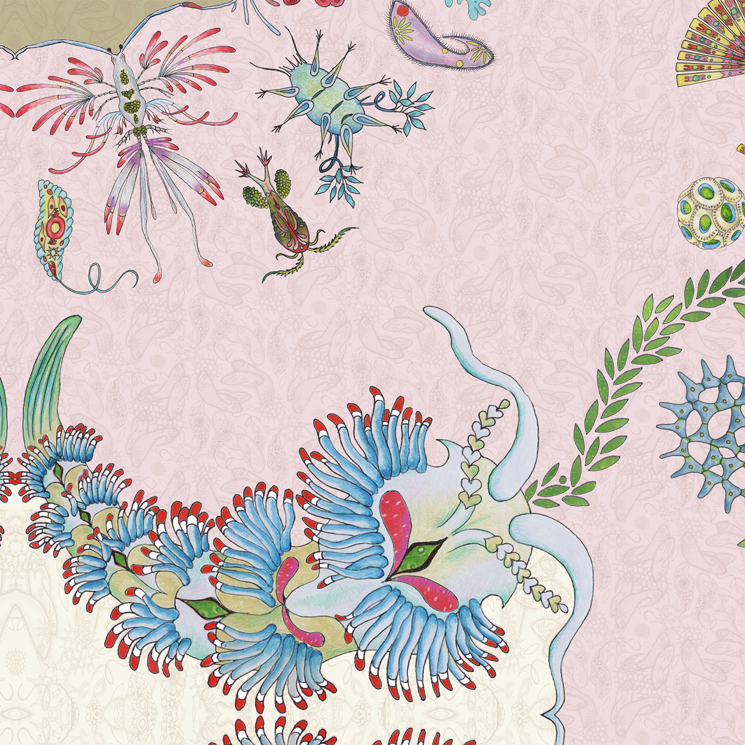 PaisleyParameciumPinkDetailB