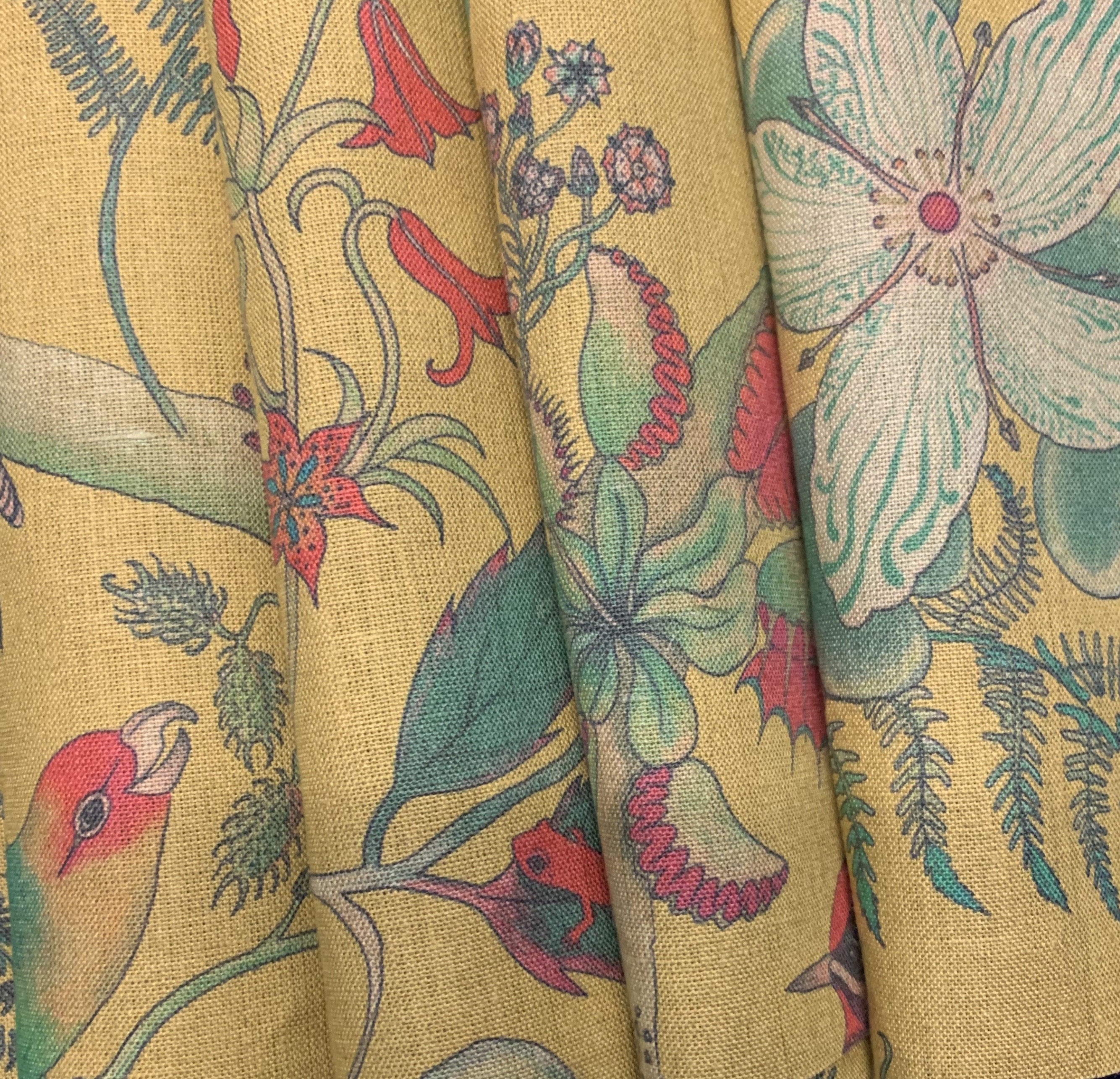 Cornbread parakeets